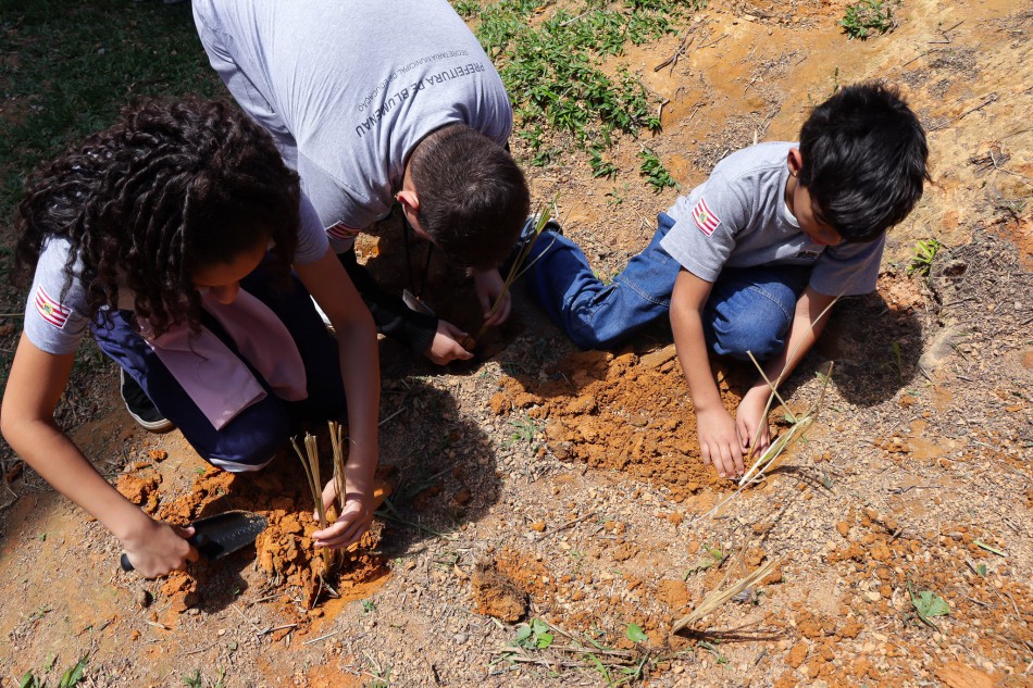 Alunos do bairro da Velha participam de ação para diminuir risco de deslizamentos em área na escola