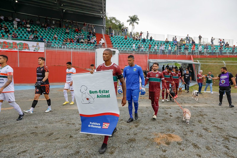 Cães do Cepread participam da abertura do jogo no Estádio do Sesi