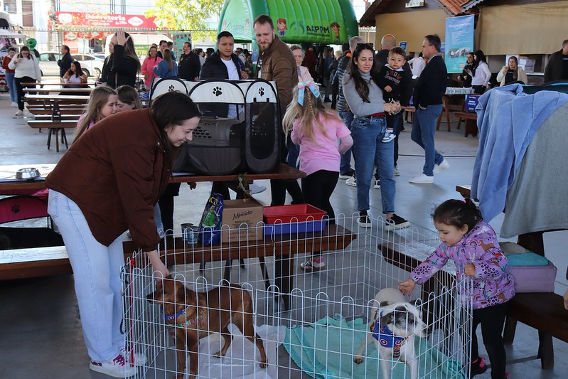 Mais da metade dos cães acolhidos no Cepread encontrou uma família em 2025