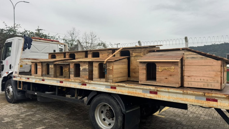 Prefeitura recebe mais de 20 casinhas para animais comunitários por meio de parceria com a Penitenciária Industrial