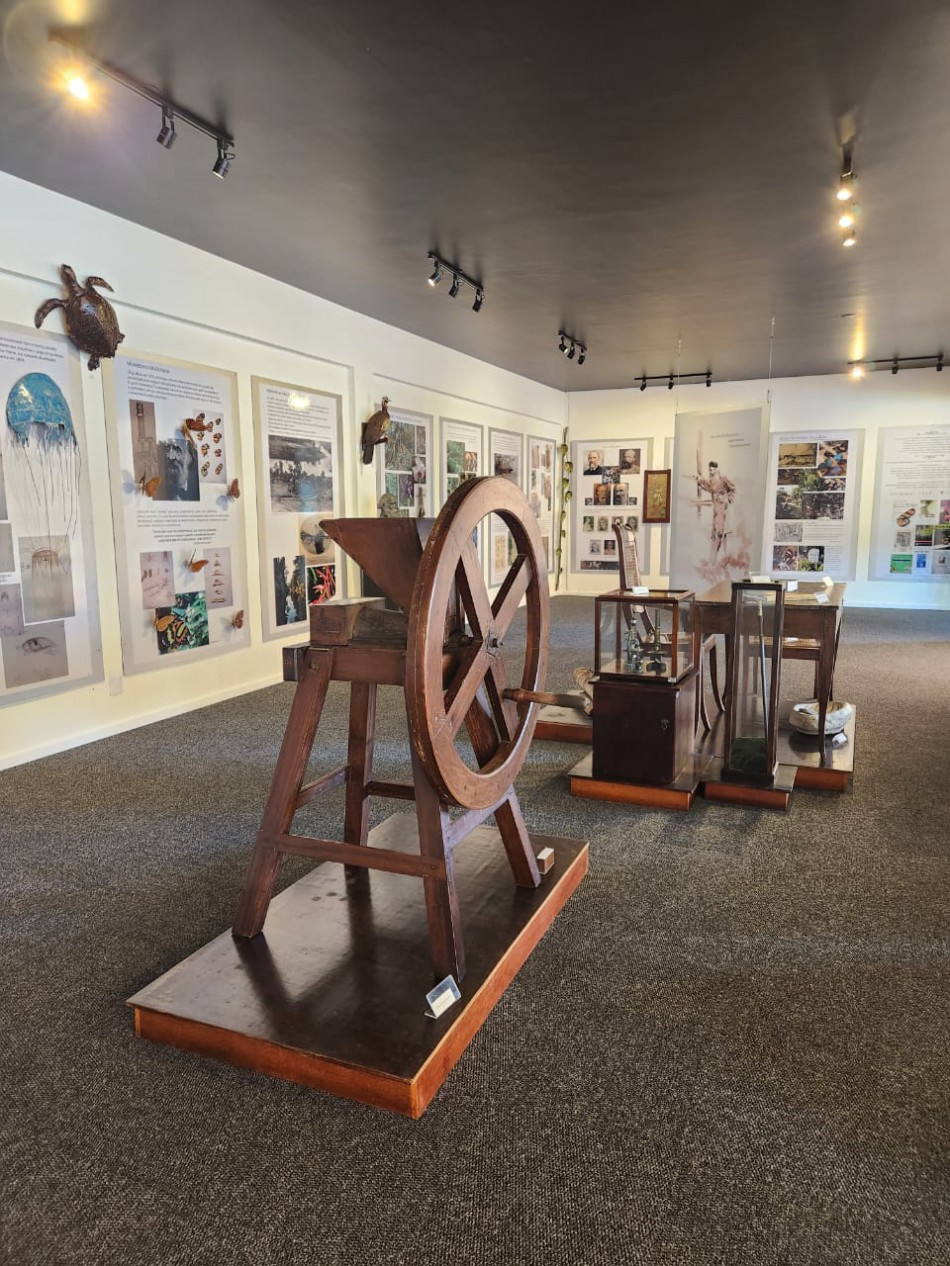 Exposição Fritz Müller e Parque São Francisco com horários especiais a partir de segunda-feira, dia 23. Espaços funcionarão durante as festividades de Natal e Ano Novo