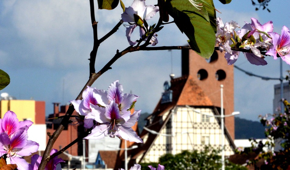 Confira a agenda cultural e saiba como aproveitar o fim de semana em Blumenau
