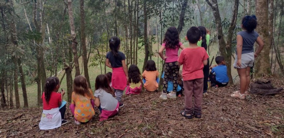 Professora de Blumenau vence prêmio nacional com projeto inovador sobre o ciclo de vida das abelhas.